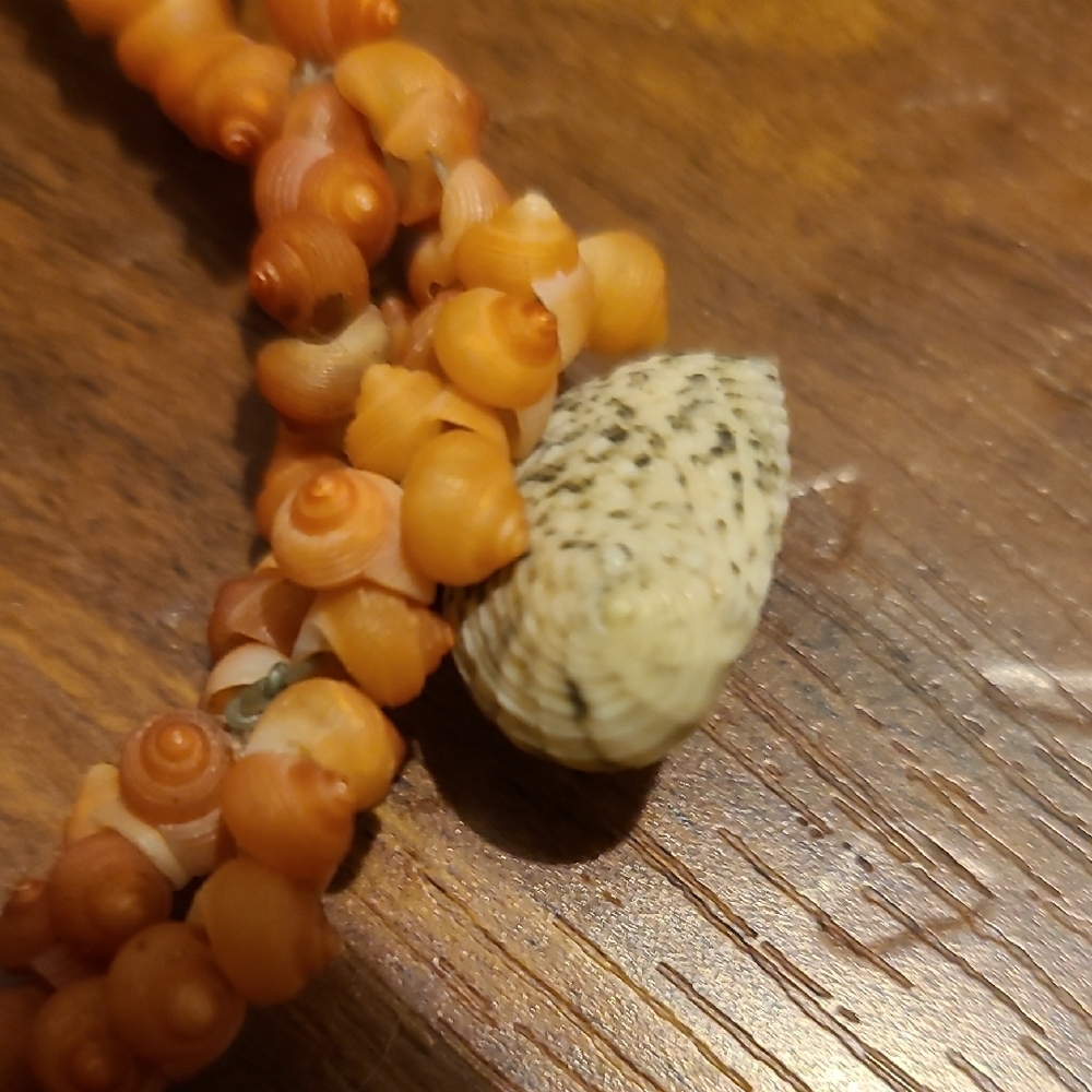 Rare Vintage Elegant Cream Shell Necklace - Picture 6 of 16